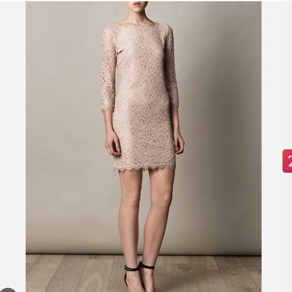 Diane Von Furstenberg Dresses & Skirts - Blush Pink DVF "Zarita" Allover Lace Dress in 8 (Medium) Mauve Nude Tones